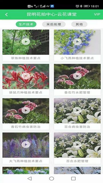 kifa花拍服务供下载,花拍服务供,查询app,服务app